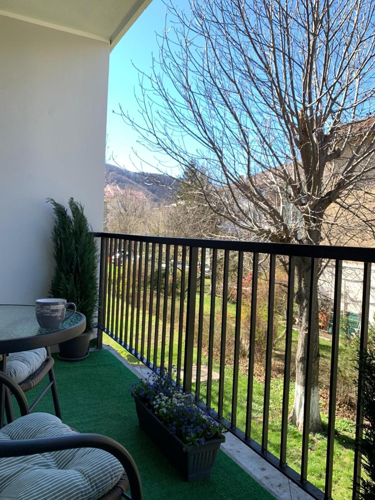 Rose Apartment Piatra Neamt Exterior photo